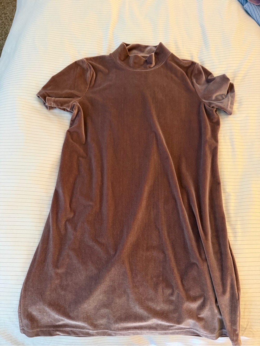 Madewell Blush Velvet Mock-Neck Short Sleeve Dress